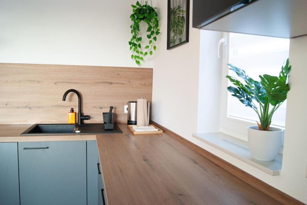 Apartment Marbach
